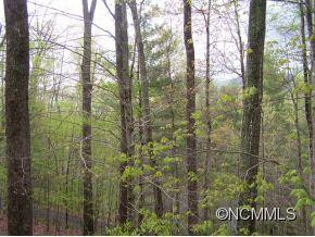 53 Cme Lane - Photo 22