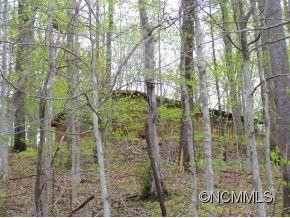 53 Cme Lane - Photo 5