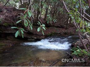 1910 WILLIAMSON CREEK RD - Photo 14