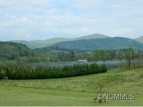 521 Cecil's Way - Photo 4