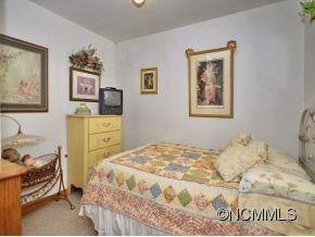 44 GREY FOX TRAIL - Photo 12