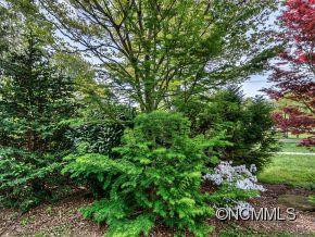 221 Flat Creek - Photo 17