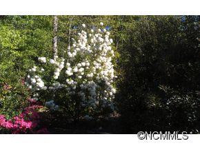 404 Grouse Lane - Photo 4