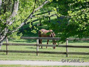 335 Cragmont Road - Photo 3