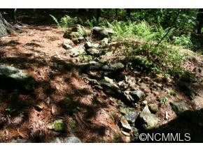 610 Purple Finch Trail - Photo 14