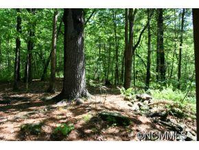 610 Purple Finch Trail - Photo 15