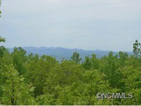 316 HOGSED ROAD - Photo 2