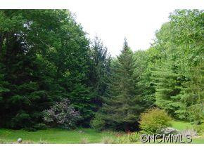 54 Trantham Creek Road - Photo 12