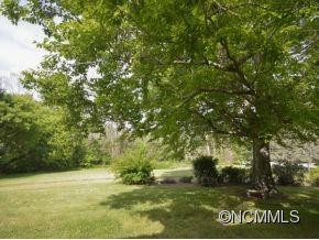 1125 REEMS CREEK ROAD - Photo 2