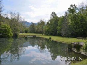 1125 REEMS CREEK ROAD - Photo 22
