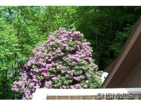 477 ROCKY TOP ROAD None - Photo 5