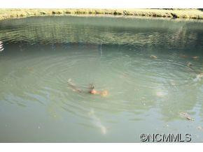 105 Melody - Photo 23