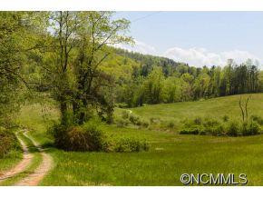 64 Flynn Branch Road - Photo 11