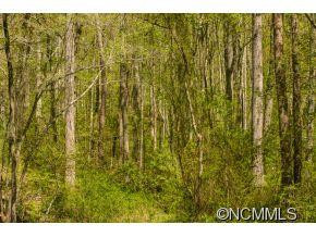 64 Flynn Branch Road - Photo 18