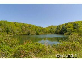 64 Flynn Branch Road - Photo 3