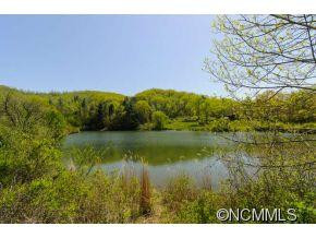 64 Flynn Branch Road - Photo 5