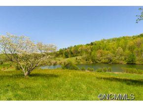 64 Flynn Branch Road - Photo 7