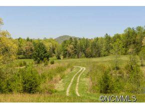 64 Flynn Branch Road - Photo 8