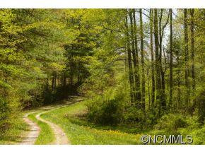 64 Flynn Branch Road - Photo 10