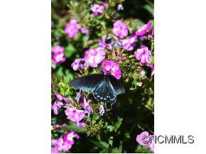 51 Nome - Photo 18