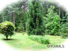 217 Deerpath Lane - Photo 2