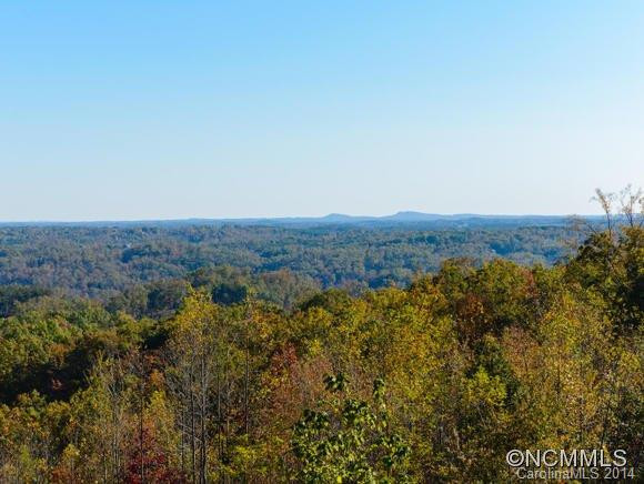 139 Red Hawk Knoll - Photo 14
