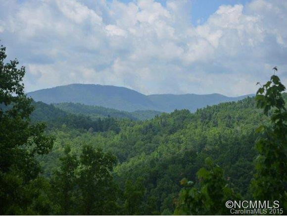 225 Sunny Ridge Road - Photo 4