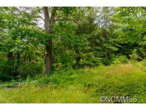 686 NEW HAW CREEK - Photo 22