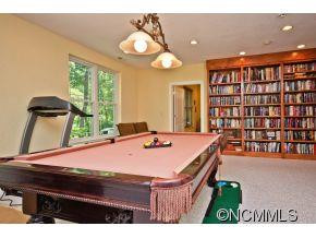 423 Purple Finch Ct - Photo 10