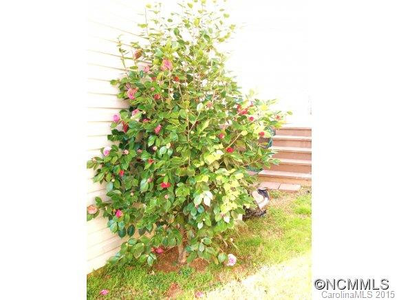 6 Eva Circle - Photo 18