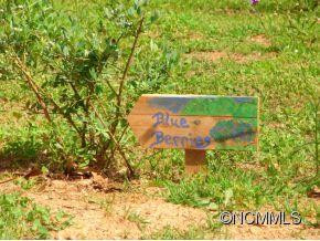 9 Bees Mountain - Photo 20