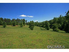 208 Loblolly Lane - Photo 5
