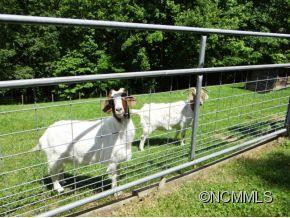 12 Bards Lane - Photo 4