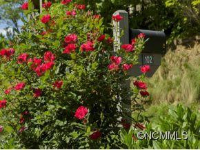 102 CATAWBA PATH - Photo 15
