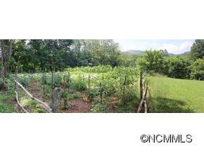 2428 Old Henson Cove Road - Photo 7
