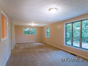 32 Blue Ridge Assembly Drive - Photo 3