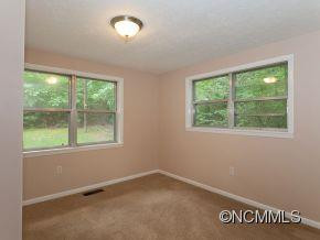 32 Blue Ridge Assembly Drive - Photo 6