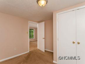32 Blue Ridge Assembly Drive - Photo 7