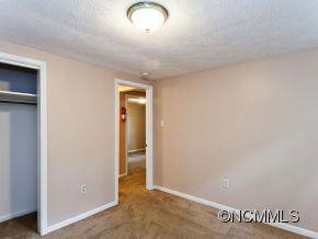 32 Blue Ridge Assembly Drive - Photo 10