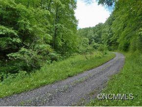 351 BUCK SPRINGS RUN - Photo 22