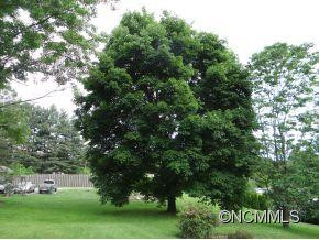 5 Smith Graveyard Road - Photo 20