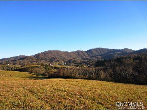 181 Browntown Road - Photo 9