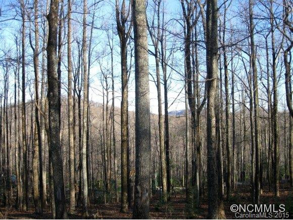 35 Tanglewood Drive - Photo 21