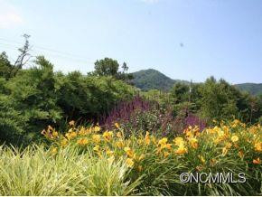 900 REEMS CREEK ROAD - Photo 2