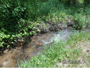 401 Paint Fork Road - Photo 3