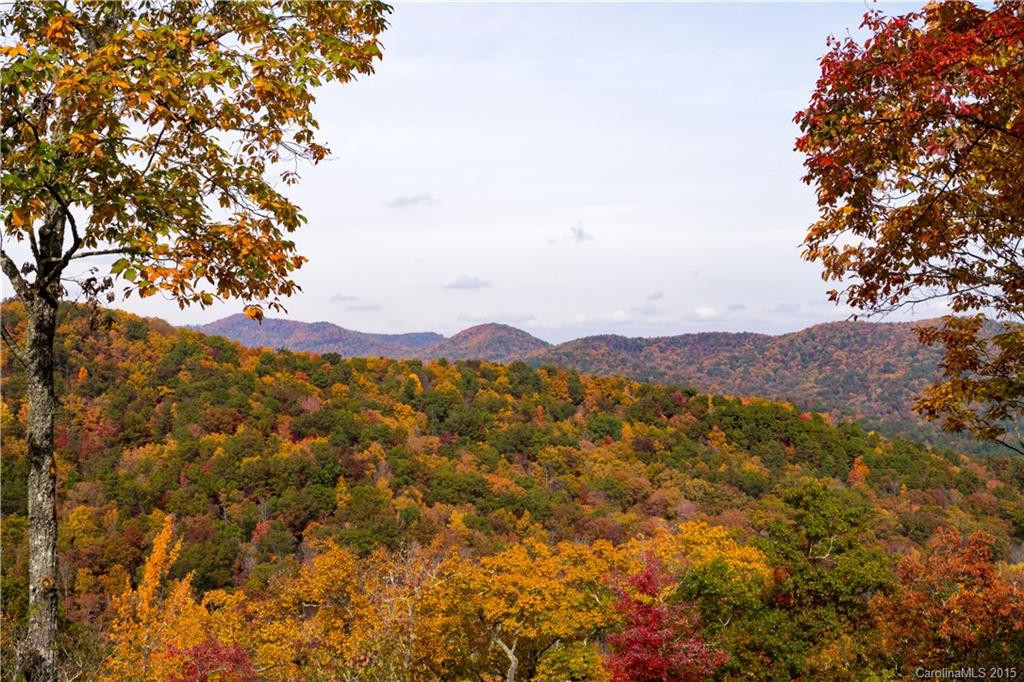 80 BLUE MOUNTAIN WAY Way - Photo 2