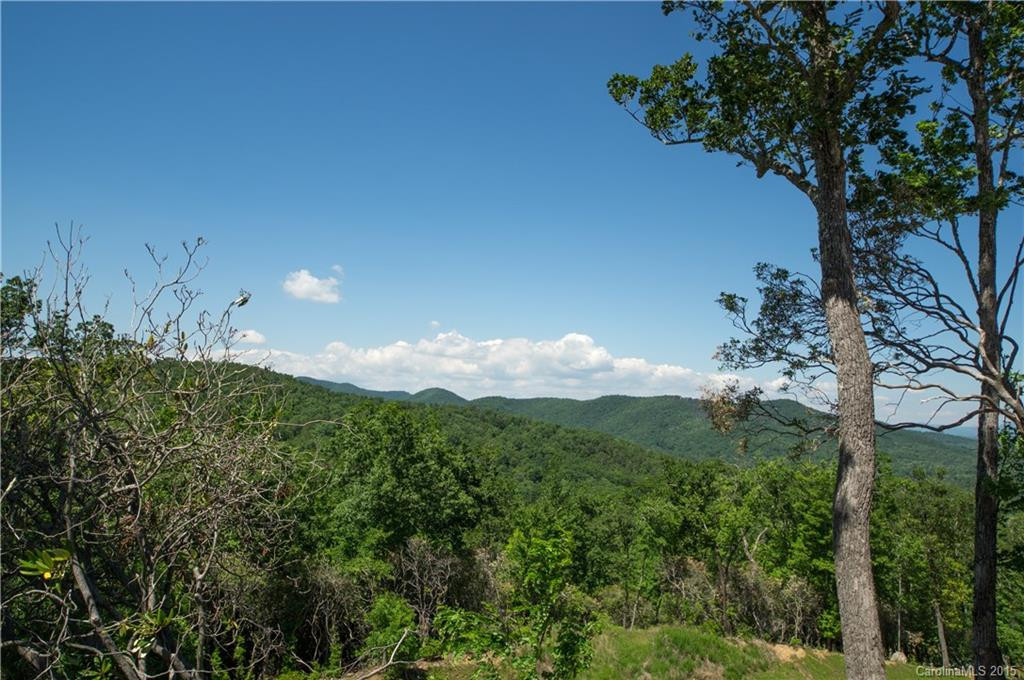 80 BLUE MOUNTAIN WAY Way - Photo 3