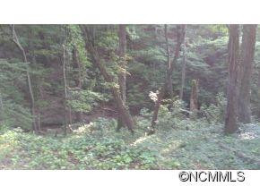 132 Forest Lane - Photo 15