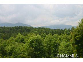 1266 Grassy Knob Road - Photo 3