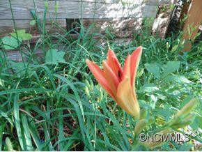 47 Hampden Road - Photo 21